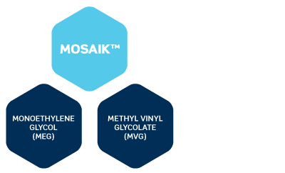 MOSAIK™-MEG-MVG-4.png
